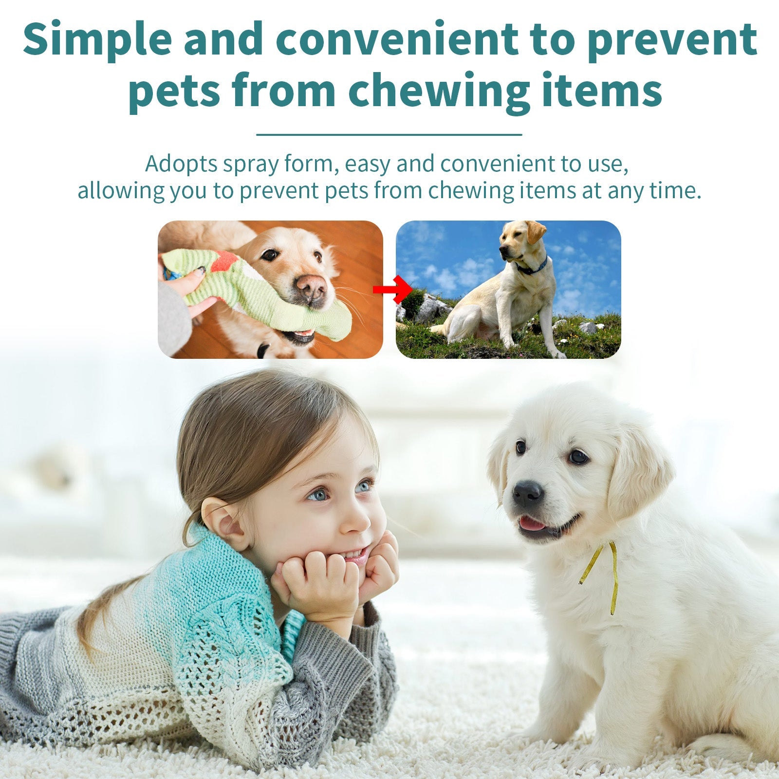 Dog training spray designed to deter pets from chewing, anti-scratch sofa spray for pets