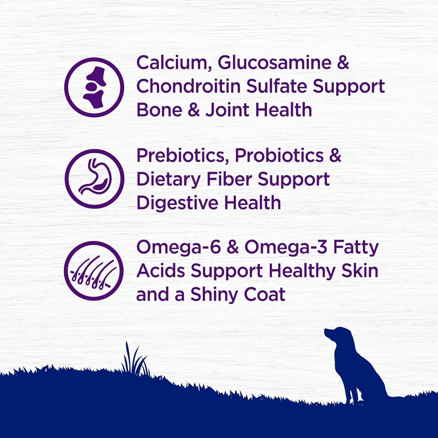 Nutritional benefits of healthy dry dog food for large breeds including bone health and shiny coat support