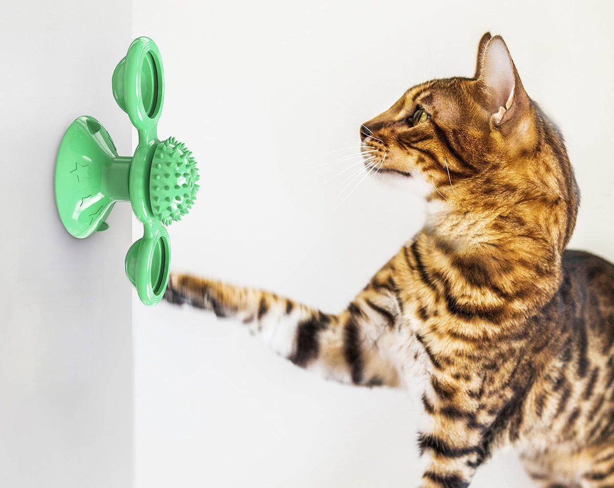 Purrfect Pet Kingdom Whisker Windmill Spinning Cat Toy Purrfect Pet Kingdom