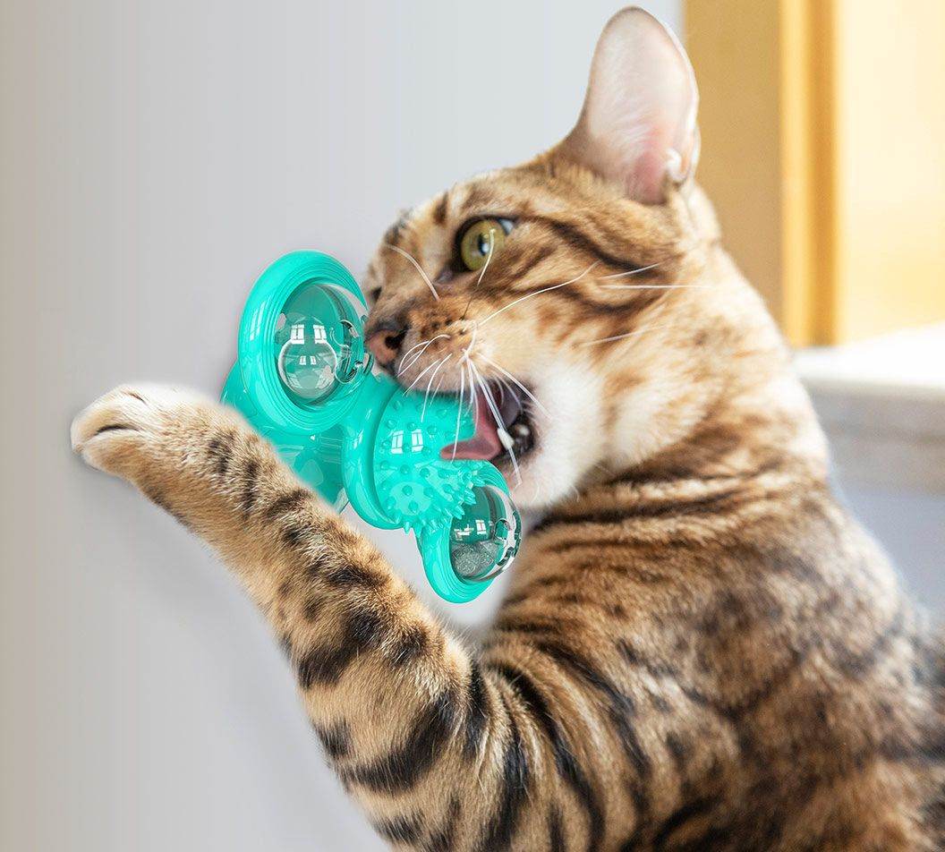 Purrfect Pet Kingdom Whisker Windmill Spinning Cat Toy Purrfect Pet Kingdom