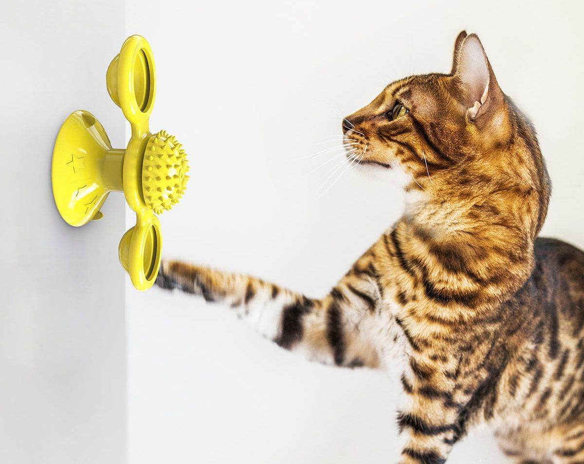 Purrfect Pet Kingdom Whisker Windmill Spinning Cat Toy Purrfect Pet Kingdom