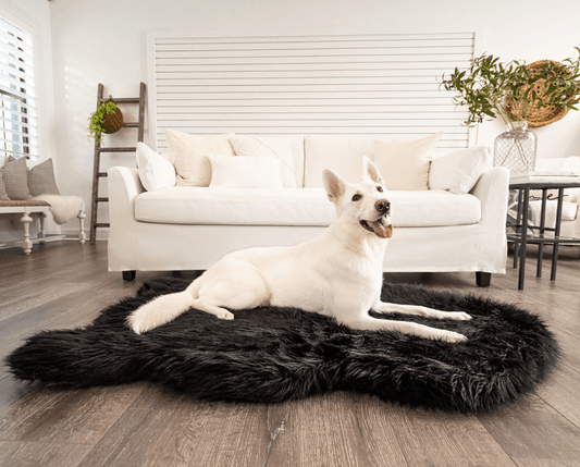 Memory Foam Dog Bed Faux Fur Midnight Black Orthopedic Comfo - detail view