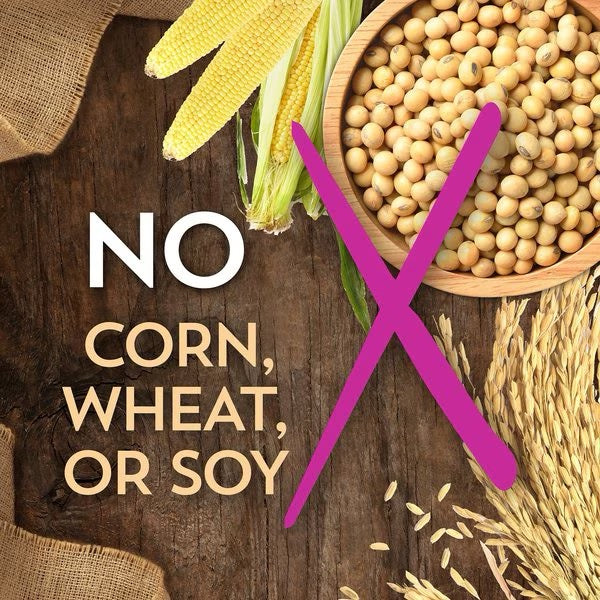 Wholesomes grain free lamb dog food with no corn, wheat, or soy ingredients for healthy pets