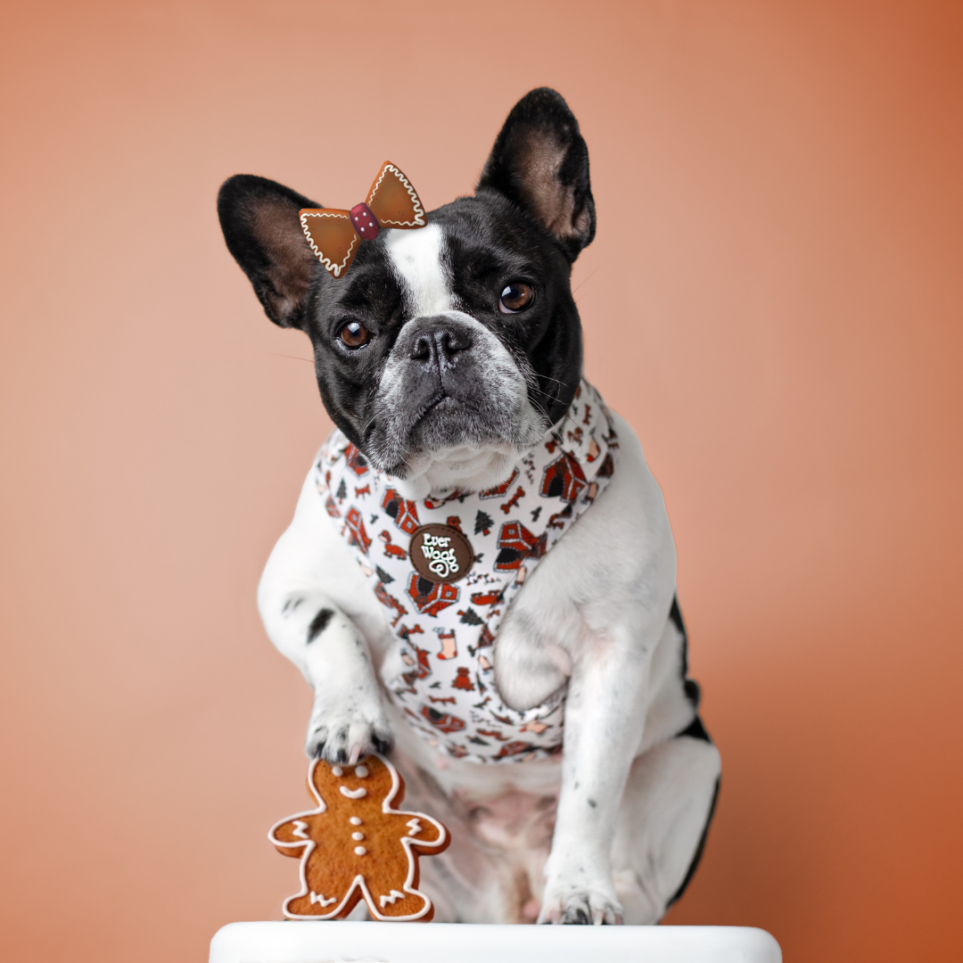 Oh Snap! Adjustable Harness Dog Harness | Purrfect Pet Kingdom