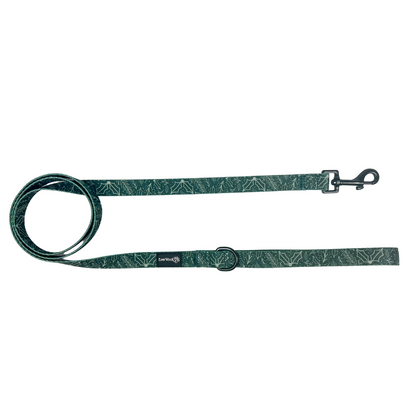 Evergreen Dream 5ft Dog Leash with Soft Neoprene Padded Grip