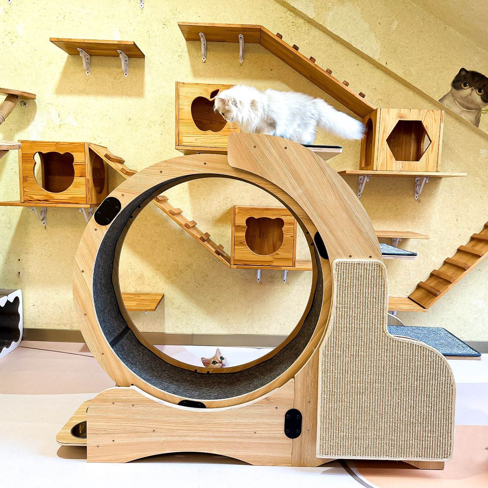 Purrfect Pet Kingdom Cat Activity Wheel with Scratcher as Pic Purrfect Pet Kingdom