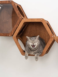 Wooden Cat Shelf Oak