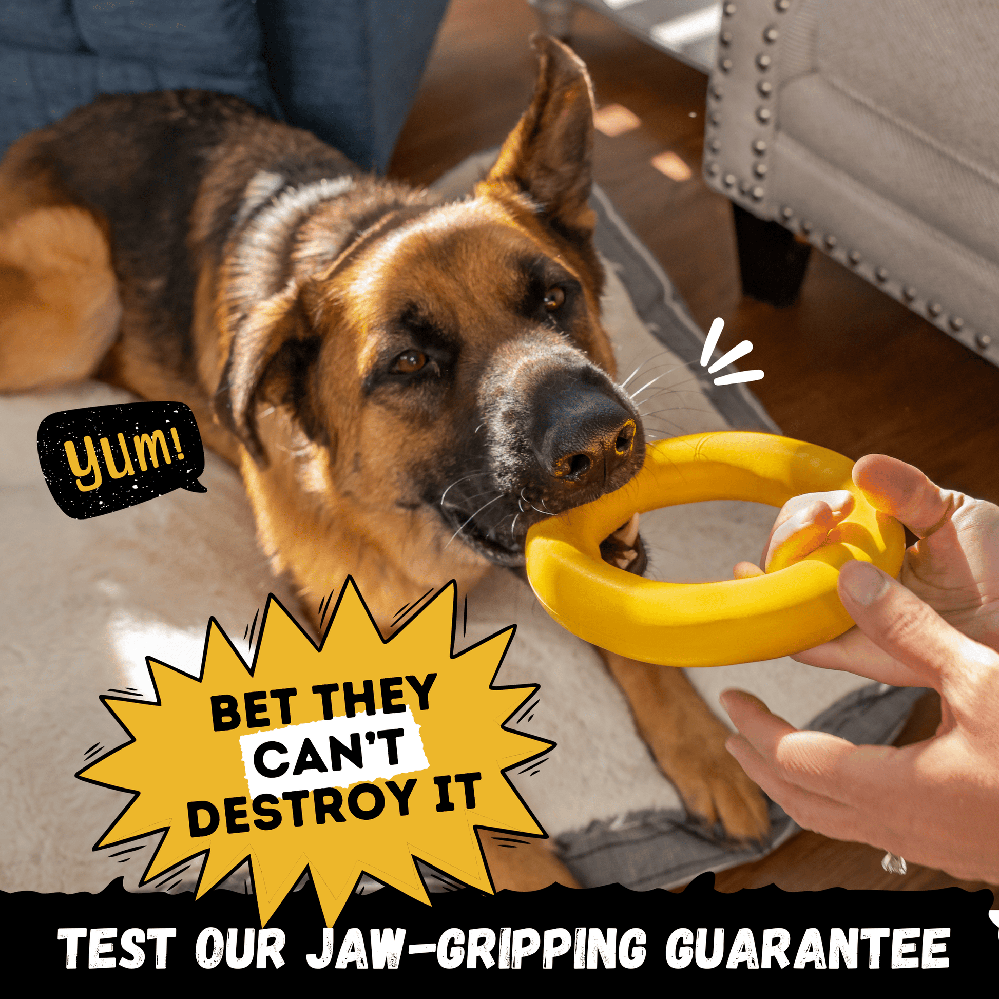 Durable Dog Toy from Monster K9 designed for tough chewers with a dog playing and interacting with it