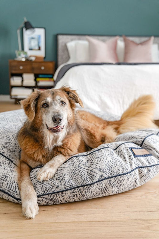 Round Pet Bed Sapphire Spaniel Blue Plush 🛏️
