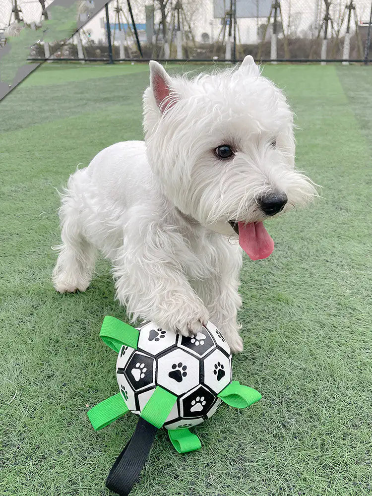 Dog Football Toys - Mimarta