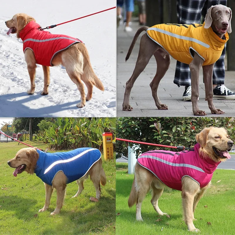 Waterproof Large Dog Clothes - Mimarta