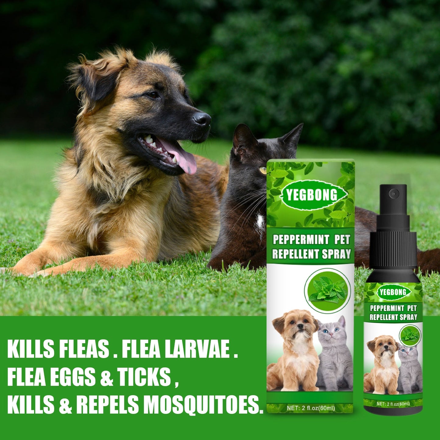 Natural fungus spray for cats and dogs on grass with pets, repelling fleas, ticks, and mosquitoes
