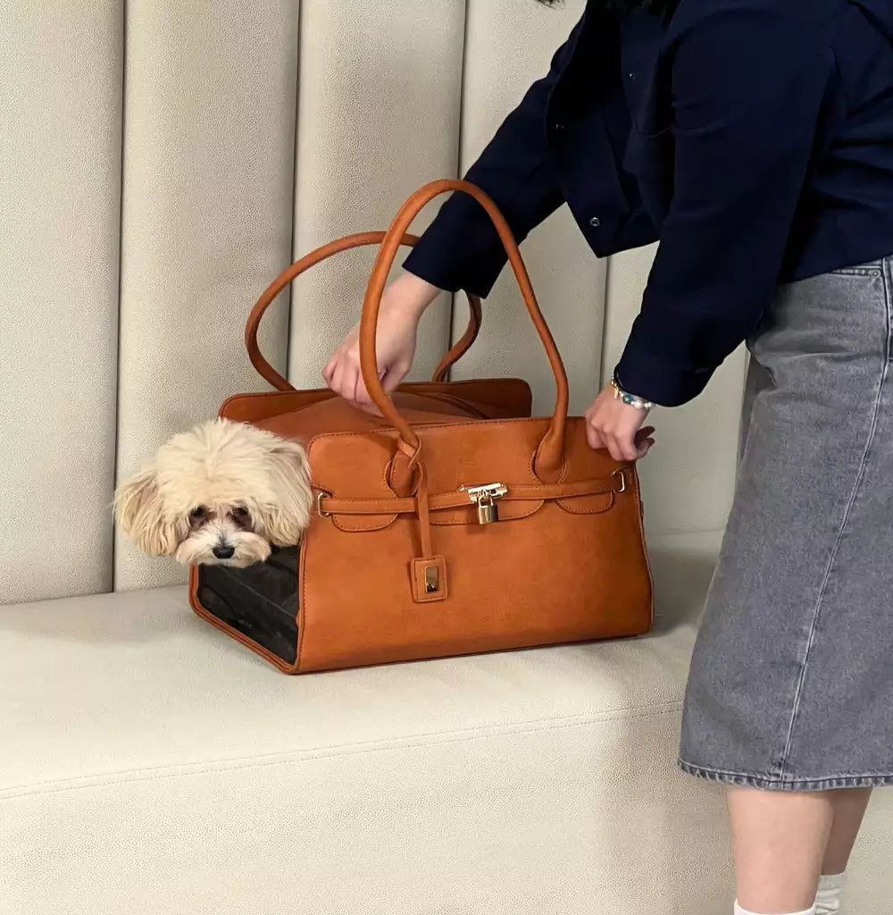 Tail Chasers leather cat carrier tote with a stylish design and a dog peeking out