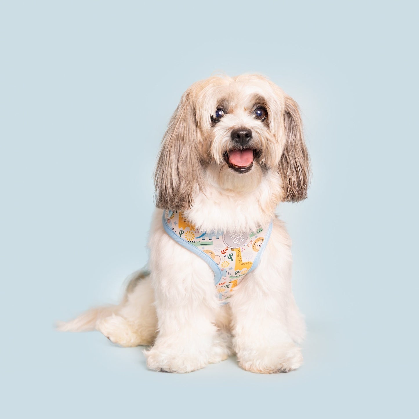 Boho Baby Adjustable Neoprene Dog Harness for Daily Comfort: Padded blue animal print on dog by Purrfect Pet Kingdom.