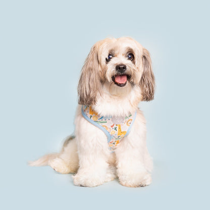 Boho Baby Adjustable Neoprene Dog Harness for Daily Comfort: Padded blue animal print on dog by Purrfect Pet Kingdom.