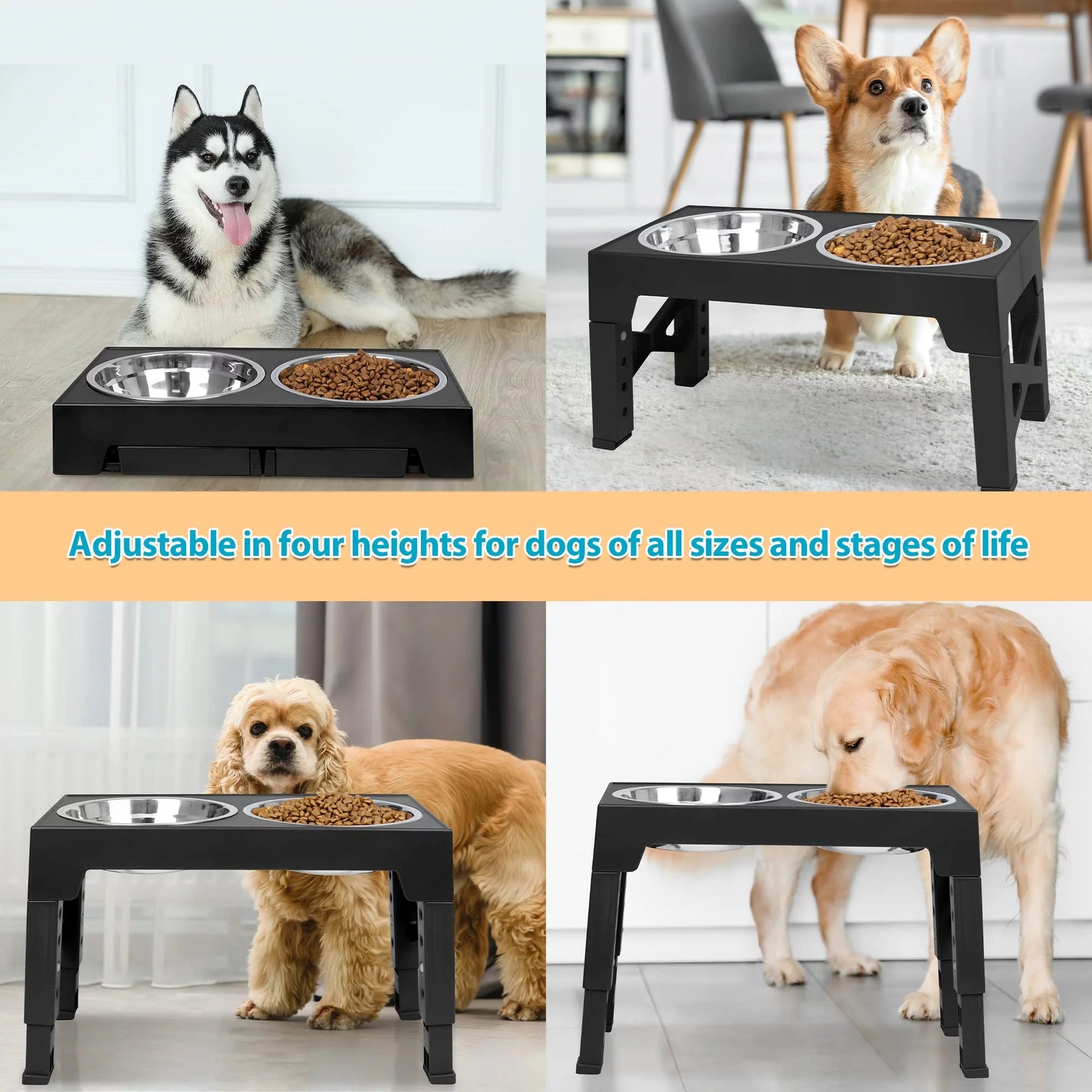 Adjustable raised dog feeder for large dogs with stainless steel bowls, perfect for all dog sizes and stages of life